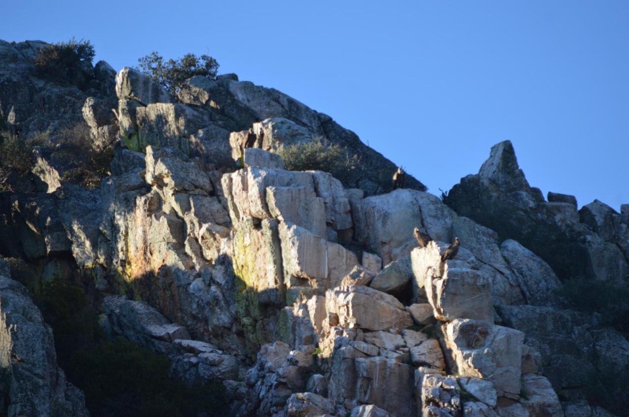 Alojamiento La Canada Monfrague 托雷洪厄尔卢比奥 外观 照片